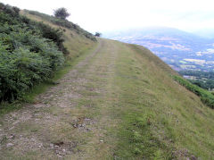 
Tramway between East and North Quarries, July 2010